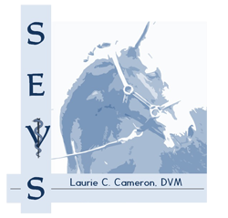 Stockton Equine Veterinary Services Logo